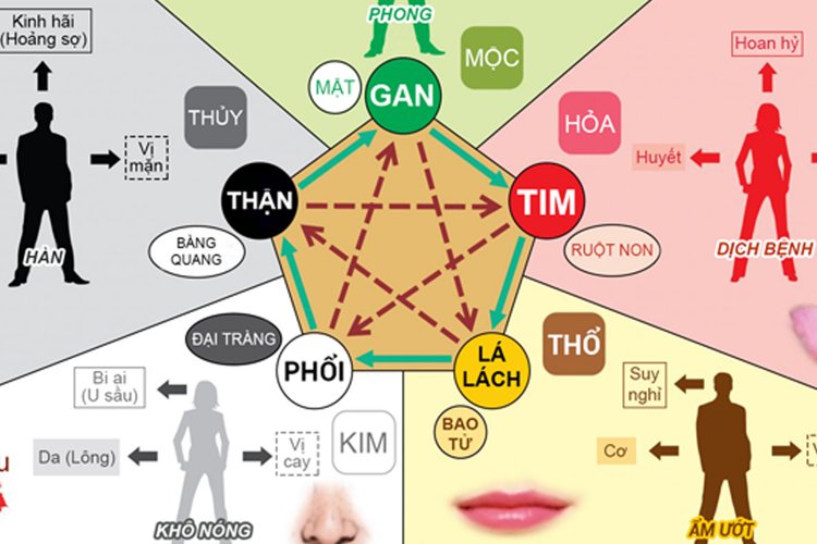 Học thuyết ngũ hành